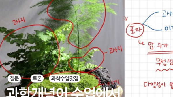 과학개념어 수업에서 질문으로 토론하는 방법